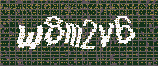 CAPTCHA_picture